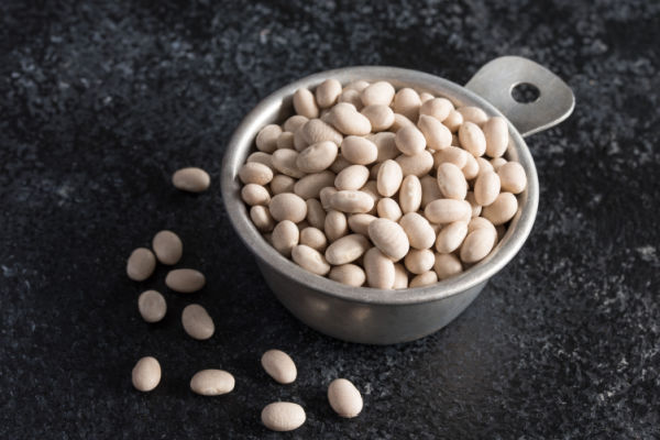 are navy beans keto friendly