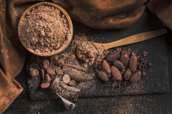 Assortment of chocolate, cocoa powder, and cocoa beans