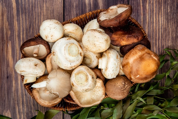 A rustic basket brimming with fresh and earthy mushrooms.