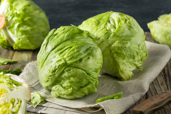 Fresh green iceberg lettuce