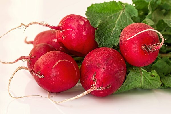 Roasted Radishes Recipe: A Flavor Explosion in Every Bite! 9 Fresh round red radishes with greens