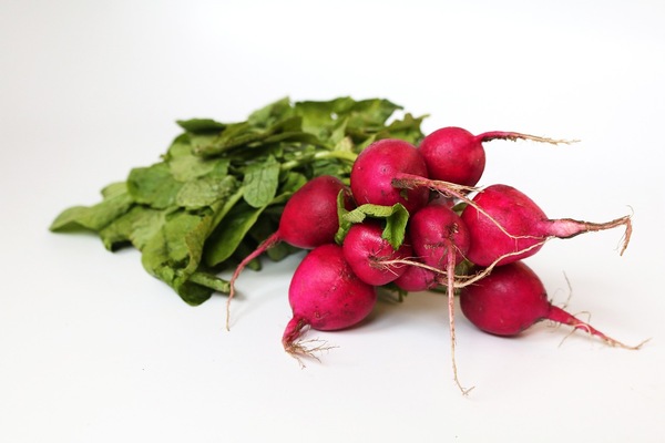 Roasted Radishes Recipe: A Flavor Explosion in Every Bite! 6 Fresh radishes with radish greens removed