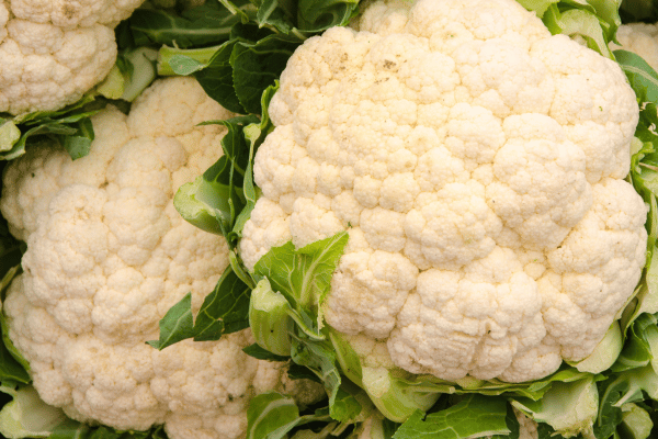 Is Squash Keto: Carbs, Varieties, and Recipes Explained 16 Is Squash Keto: Another Keto Friendly Vegetable is the Cauliflower.