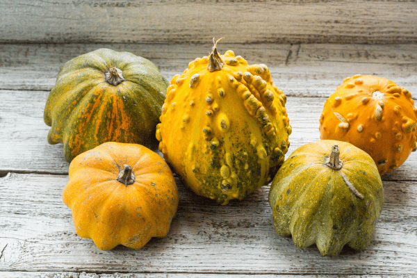 Is Squash Keto: Carbs, Varieties, and Recipes Explained 2 Different Kinds of Pumpkins and Squashes on a Wooden table.