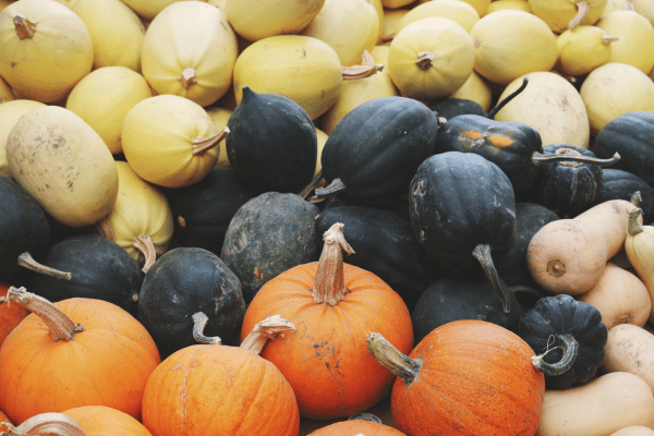 Is Squash Keto: Carbs, Varieties, and Recipes Explained 3 Is Squash Keto: A Variety of Squashes.