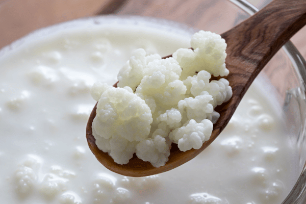 Delicious Kefir Smoothie Recipes to Energize Your Day 3 Spoon of kefir grains.