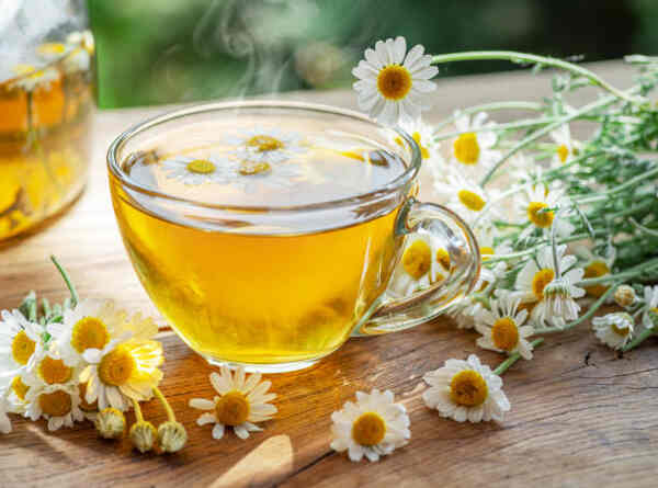 What to Drink During Intermittent Fasting: Hydration Tips 5 A cup of hot chamomile tea