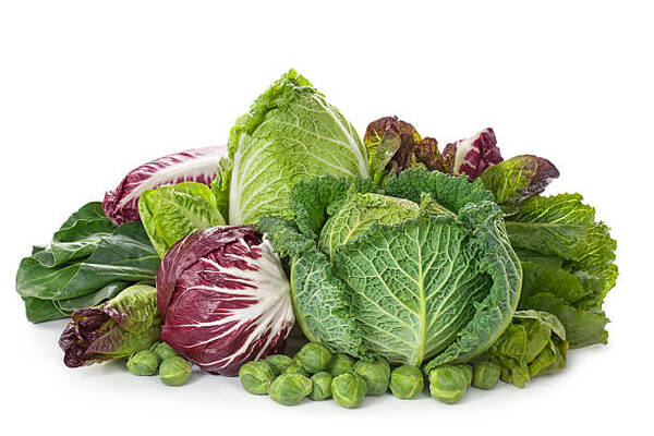 Carbs in Cabbage Explained: A Simple Low-Carb Guide 2 Assortment of fresh cabbages in different varieties
