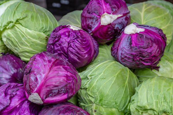 Carbs in Cabbage Explained: A Simple Low-Carb Guide 3 A selection of red and green cabbages for sale on a market stall