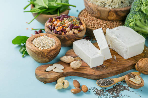 Exploring the Vegetarian Paleo Diet: What You Need to Know 4 Selection of vegetarian protein sources including nuts and tofu